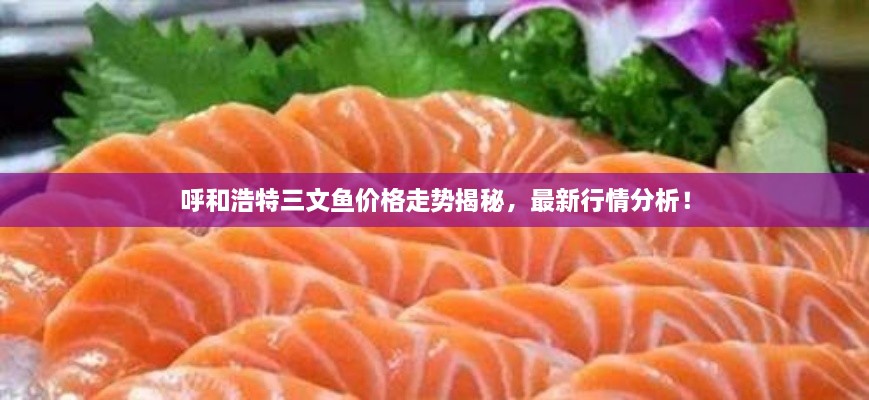 呼和浩特三文魚價格走勢揭秘，最新行情分析！