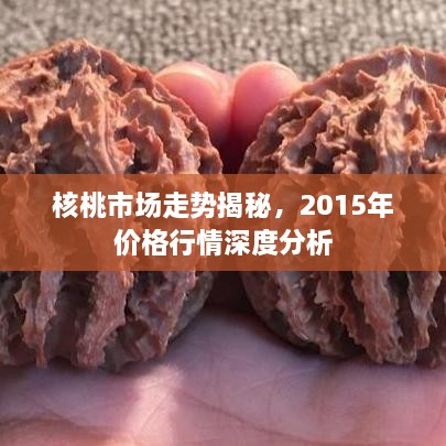 核桃市場走勢揭秘，2015年價格行情深度分析