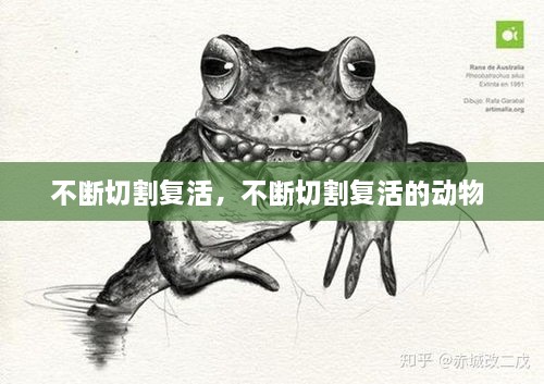 不斷切割復(fù)活，不斷切割復(fù)活的動(dòng)物 