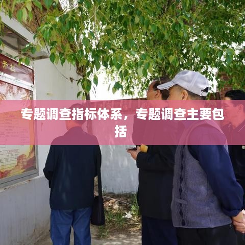 專題調(diào)查指標(biāo)體系，專題調(diào)查主要包括 