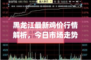 黑龍江最新雞價行情解析，今日市場走勢一網(wǎng)打盡
