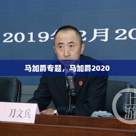 馬加爵專題，馬加爵2020 