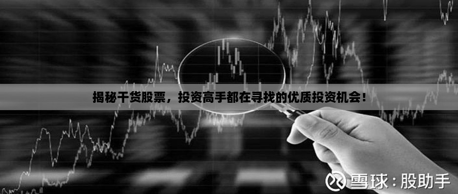 揭秘干貨股票，投資高手都在尋找的優(yōu)質(zhì)投資機(jī)會(huì)！