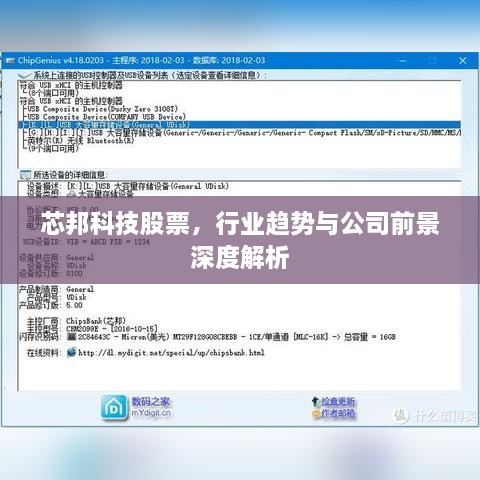 芯邦科技股票，行業(yè)趨勢與公司前景深度解析
