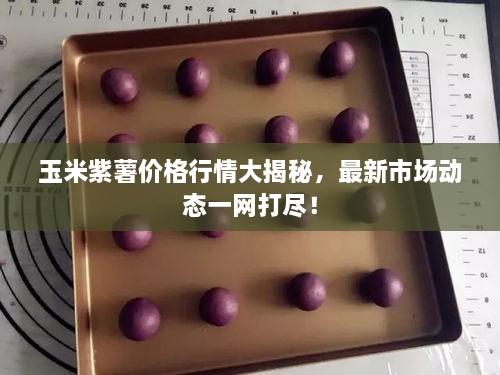 玉米紫薯價(jià)格行情大揭秘，最新市場動態(tài)一網(wǎng)打盡！
