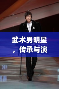 武術(shù)男明星，傳承與演繹的魅力展現(xiàn)