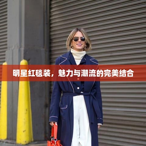 明星紅毯裝，魅力與潮流的完美結(jié)合