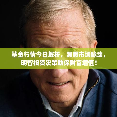 基金行情今日解析，洞悉市場(chǎng)脈動(dòng)，明智投資決策助你財(cái)富增值！