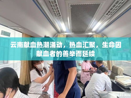 云南獻(xiàn)血熱潮涌動(dòng)，熱血匯聚，生命因獻(xiàn)血者的善舉而延續(xù)