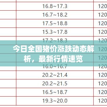 今日全國(guó)豬價(jià)漲跌動(dòng)態(tài)解析，最新行情速覽