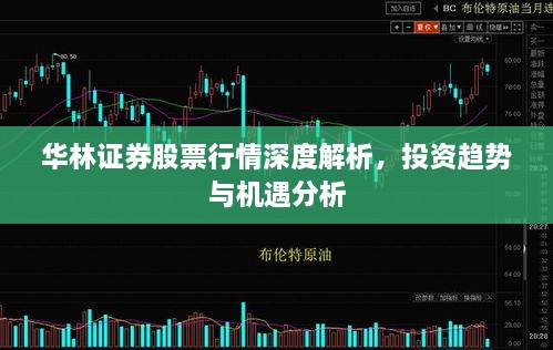 華林證券股票行情深度解析，投資趨勢(shì)與機(jī)遇分析