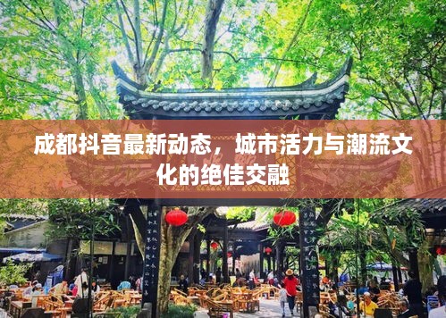成都抖音最新動(dòng)態(tài)，城市活力與潮流文化的絕佳交融
