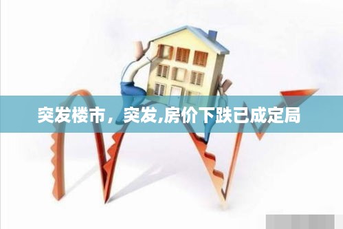 突發(fā)樓市，突發(fā),房價(jià)下跌已成定局 