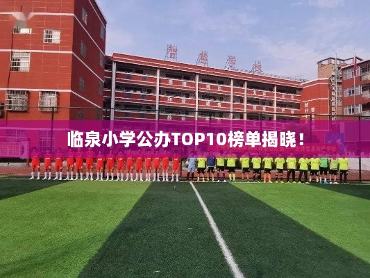 臨泉小學(xué)公辦TOP10榜單揭曉！