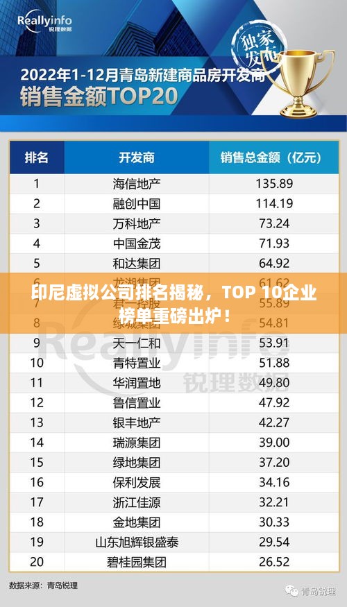 印尼虛擬公司排名揭秘，TOP 10企業(yè)榜單重磅出爐！