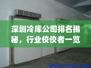 深圳冷庫公司排名揭秘，行業(yè)佼佼者一覽無余