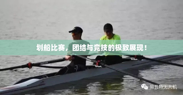 劃船比賽，團(tuán)結(jié)與競技的極致展現(xiàn)！