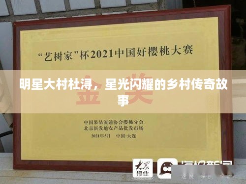 明星大村杜潯，星光閃耀的鄉(xiāng)村傳奇故事