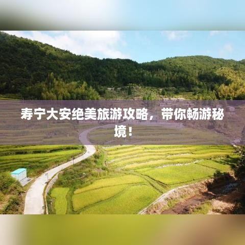 壽寧大安絕美旅游攻略，帶你暢游秘境！