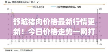 舒城豬肉價(jià)格最新行情更新！今日價(jià)格走勢(shì)一網(wǎng)打盡