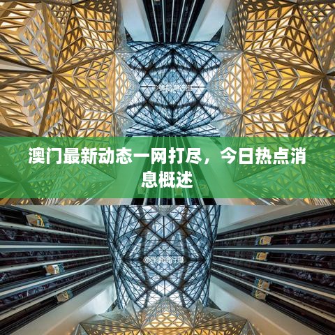 澳門最新動態(tài)一網(wǎng)打盡，今日熱點消息概述