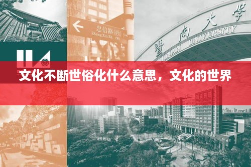 文化不斷世俗化什么意思，文化的世界 