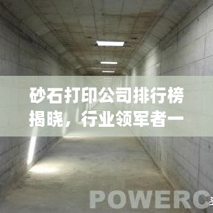 砂石打印公司排行榜揭曉，行業(yè)領軍者一覽