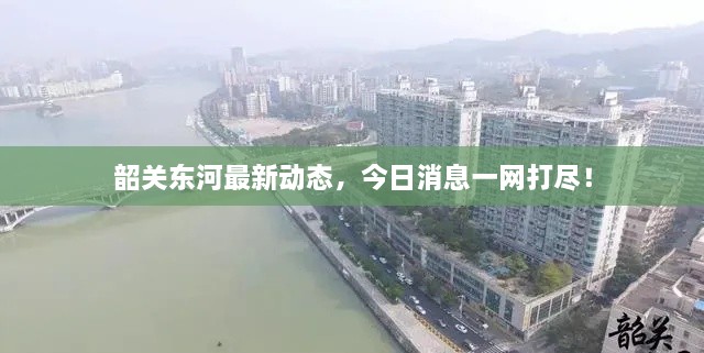 韶關(guān)東河最新動態(tài)，今日消息一網(wǎng)打盡！