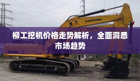 柳工挖機(jī)價格走勢解析，全面洞悉市場趨勢