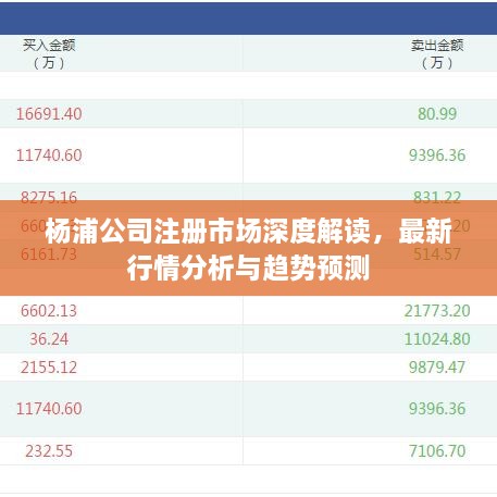 楊浦公司注冊市場深度解讀，最新行情分析與趨勢預(yù)測