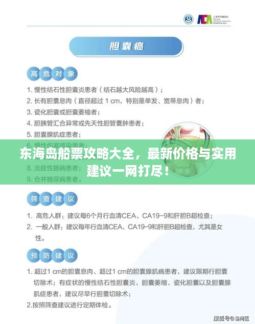 東海島船票攻略大全，最新價(jià)格與實(shí)用建議一網(wǎng)打盡！