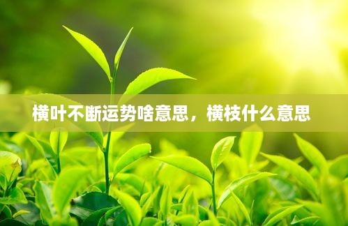 橫葉不斷運(yùn)勢(shì)啥意思，橫枝什么意思 