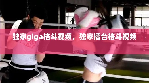 獨家giga格斗視頻，獨家擂臺格斗視頻 