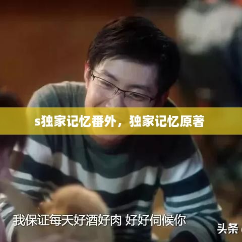 s獨(dú)家記憶番外，獨(dú)家記憶原著 
