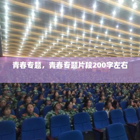 青春專題，青春專題片段200字左右 