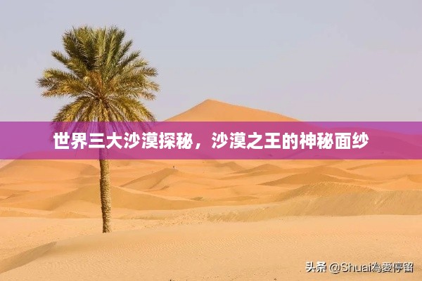世界三大沙漠探秘，沙漠之王的神秘面紗
