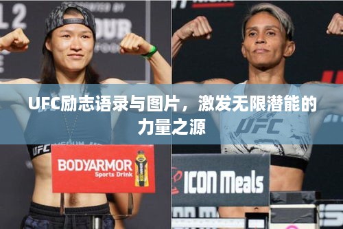 UFC勵(lì)志語錄與圖片，激發(fā)無限潛能的力量之源