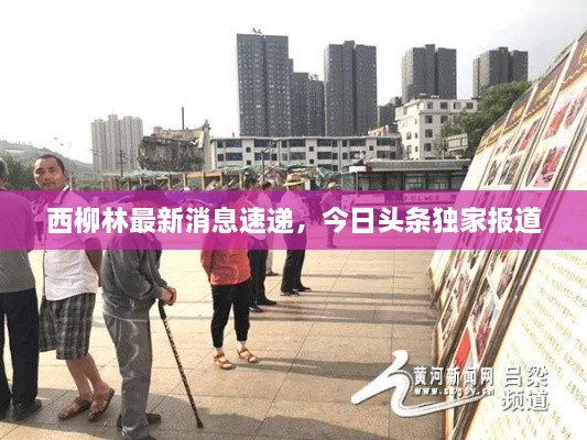 西柳林最新消息速遞，今日頭條獨(dú)家報(bào)道