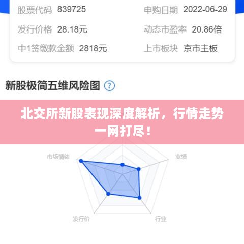北交所新股表現(xiàn)深度解析，行情走勢一網(wǎng)打盡！