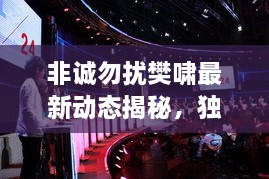 非誠勿擾樊嘯最新動態(tài)揭秘，獨家爆料吸引眼球！